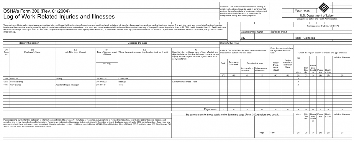 Osha 300 Log Form