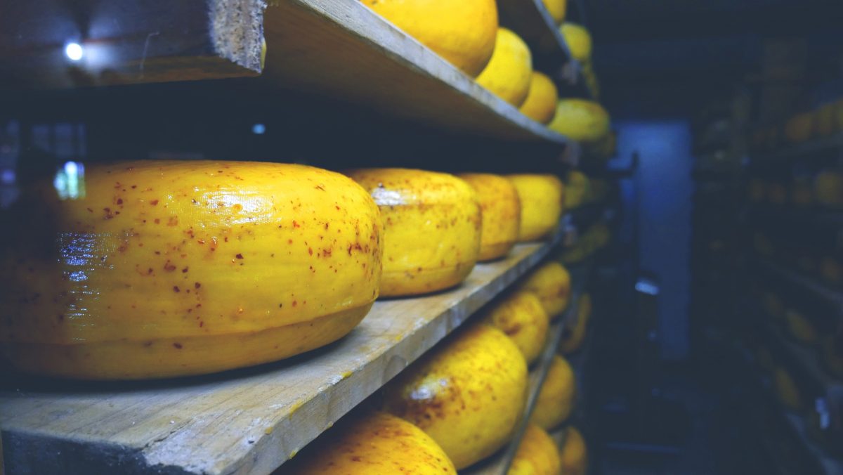 cheese curing in an environment controlled by critical control points