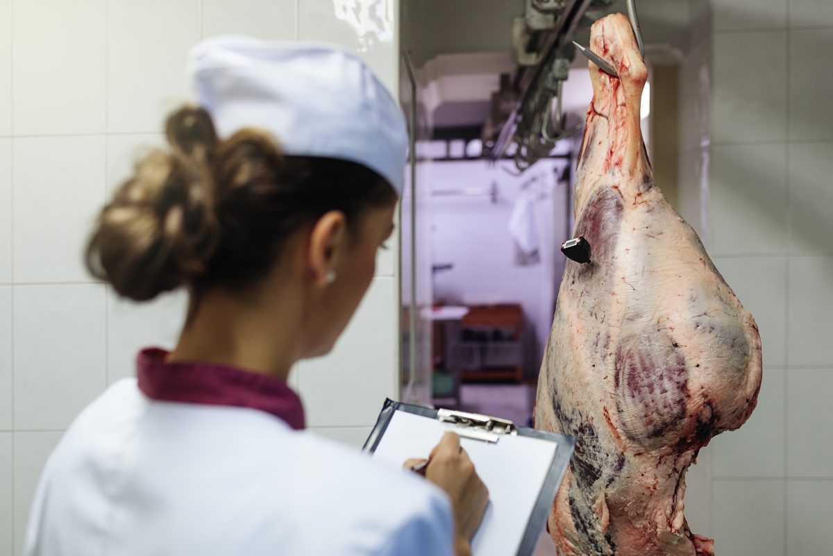 trabajador que controla las temperaturas según el plan HACCP