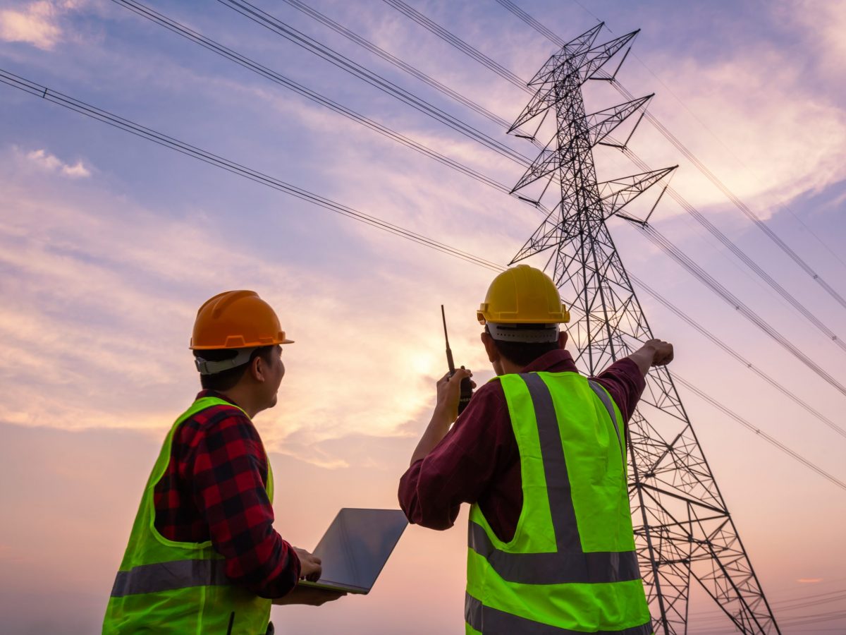 Wiha aumenta su gama para electricistas dándole mayor importancia a la  seguridad - Electricidad